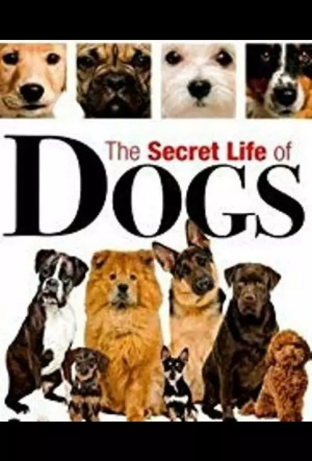 BBC: Секреты собак
