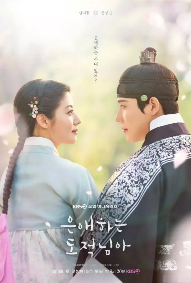 Моя любимая воровка / Мой любимый вор