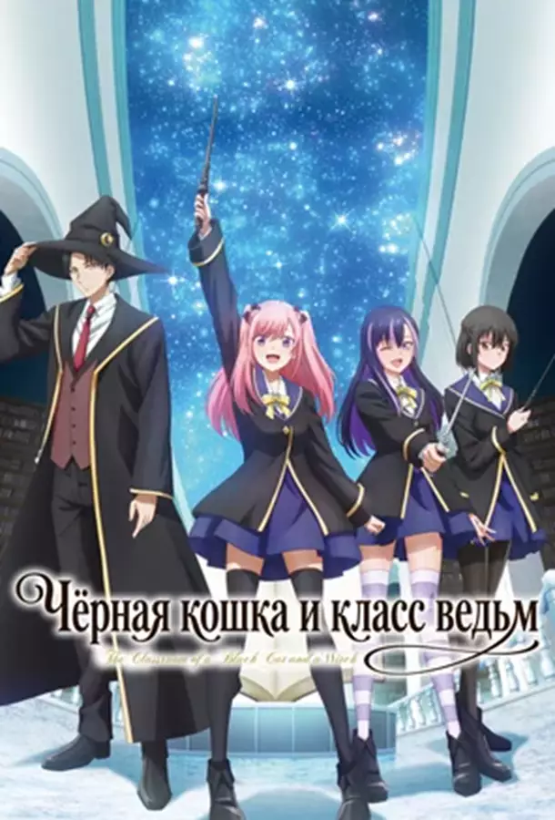 Чёрная кошка и класс ведьм