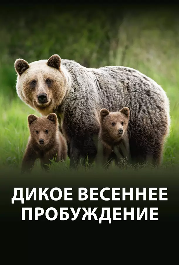 Дикое весеннее пробуждение