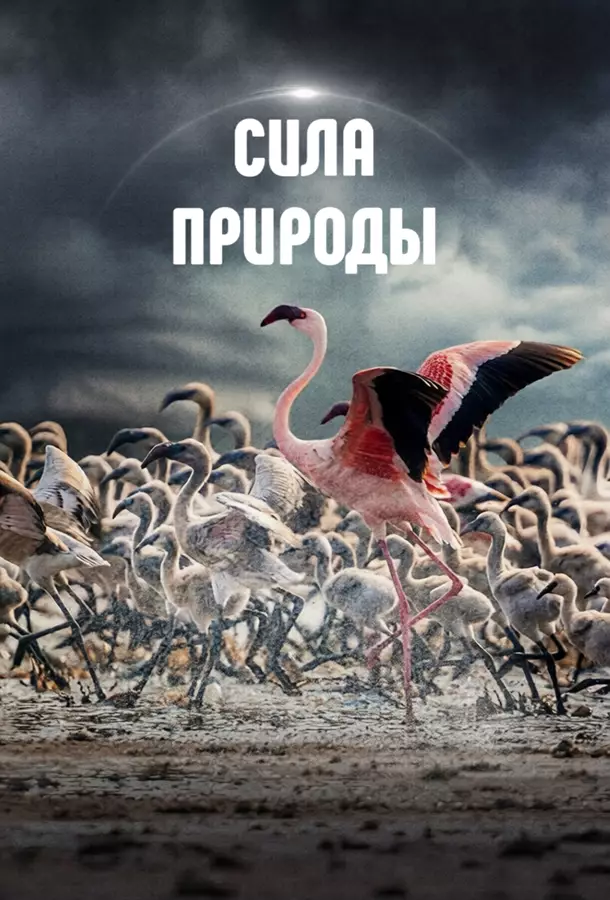 Сила природы